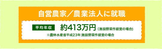 自営農家／農業法人に就職　平均年収　約413万円